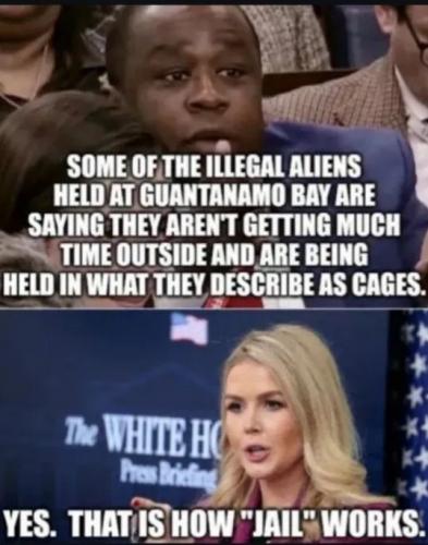 1000078210
