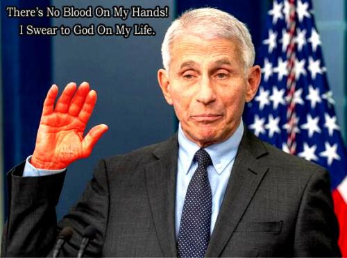 Fauci ~There's No Blood On My Hands~