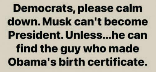 Musk - Obama birth C