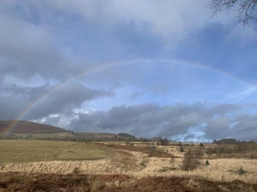 Mid-Wales-Lodges_View_slider-800x600