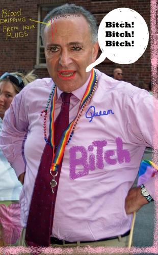 Chuck Schumer gay