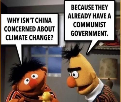 1000080393