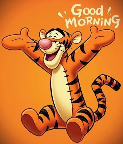 030625 - GM Tigger
