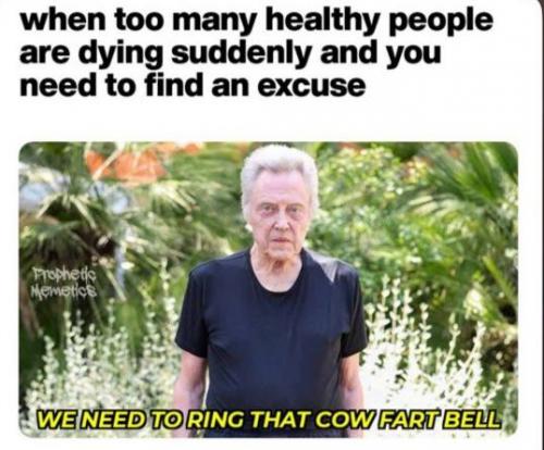 photo_2025-03-13_21-27-16