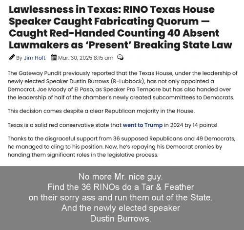 TX state house RINOs