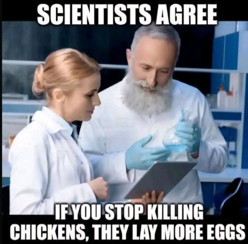 photo_2025-03-24_22-21-28