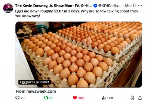 Egg Prices Plummet