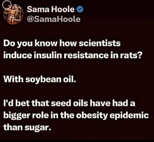 insulin resis soy oil