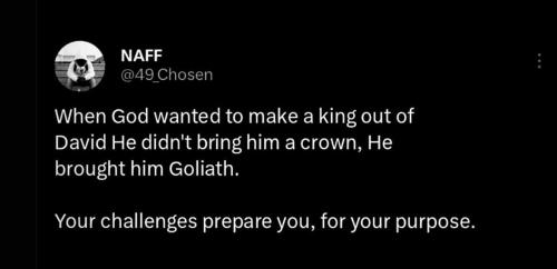 photo_2025-03-30_23-00-14