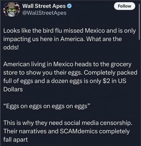 Mexico no bird flu