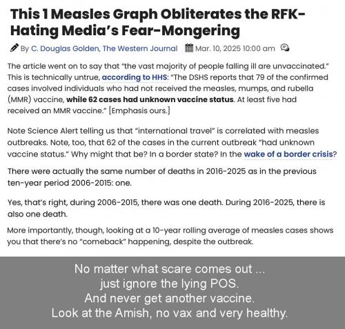 measles scare attempt