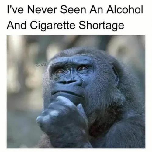36d47326-ebf8-45ba-946c-140847002212_568x568