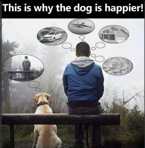 1000074571