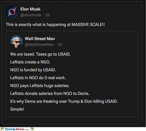 massive-scale