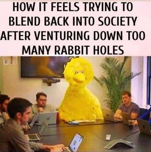 There's a lot of them