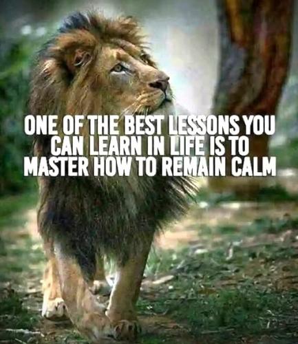 030925 - Remain calm