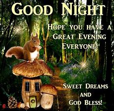 Squirrel nite nite