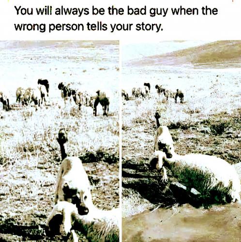 The Story Teller Matters Most