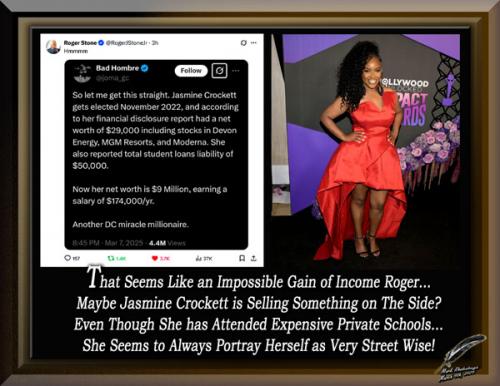 Roger Stone on Jasmine Crockett's Impossible Gain of Income