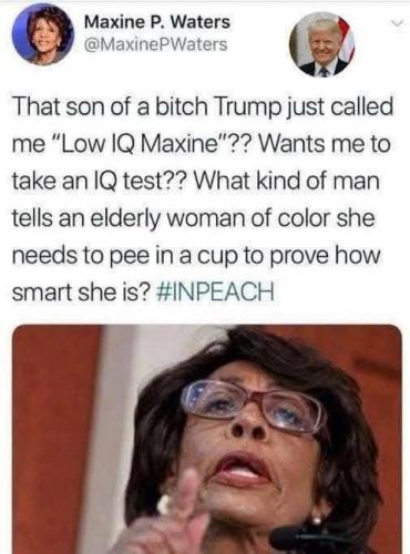 MAXINE WATTERS  GETTR