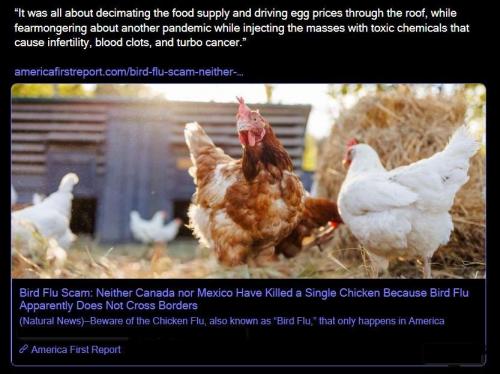 2025-03-15 at 10-56-07_cr