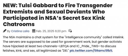 NSA sex kink fired