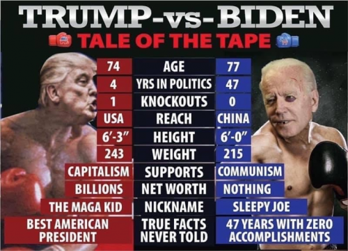 trump vs biden fight