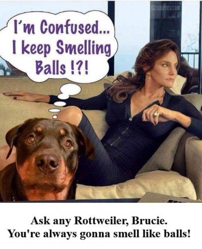 I'm confused. I keep smelling balls.500px