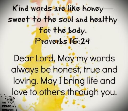 030625 - Kind words Pro16-24