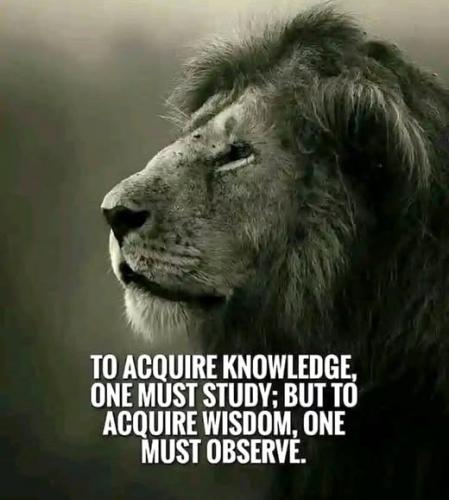 030825 - Knowledge vs wisdom