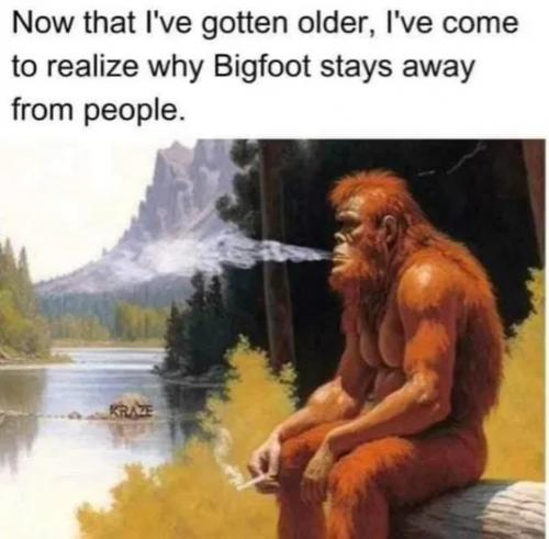 1000076592