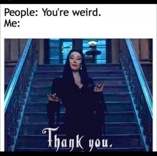 photo_2025-03-16_20-10-22