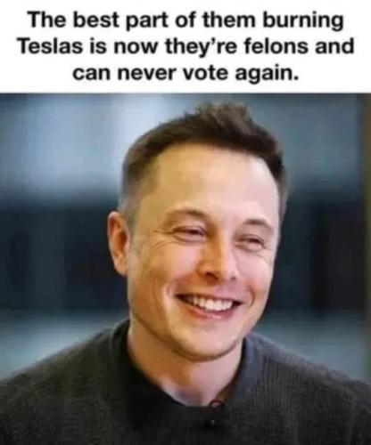 burning Teslas