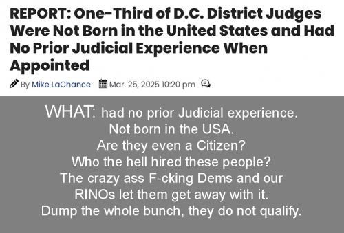 no exper Judges