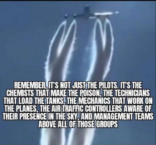 photo_2025-03-31_12-16-14