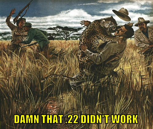 dt22dw