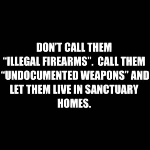 2nd Amendment - Sanctuary homes