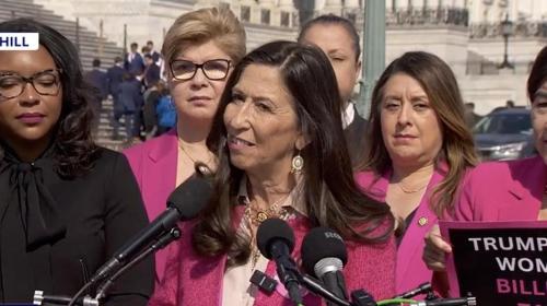 DEMOCRATS LOVE WOMEN PINK LADIES