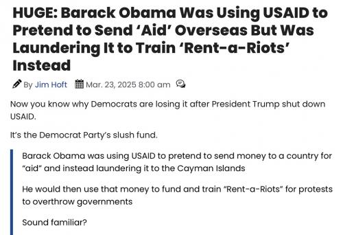 Obama rent a riot