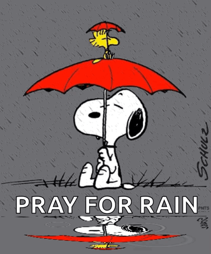 snoopy-pray-for-rain-b86t3rmnnvkipsnw-2698008063