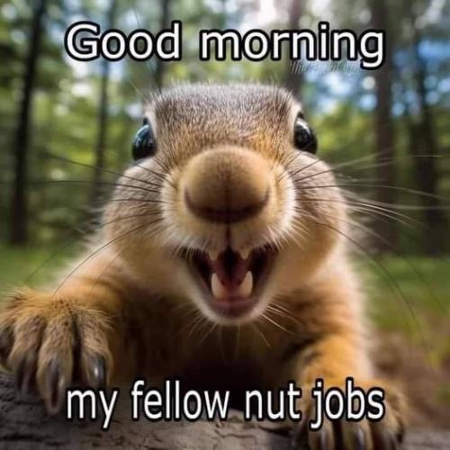 Good morn nutjob