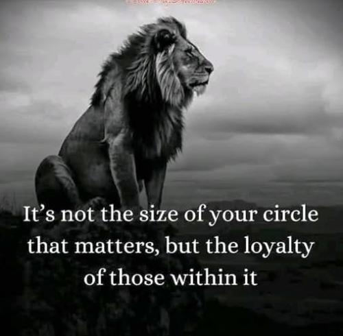 031725 - Size of Circle