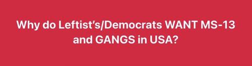 photo_2025-03-25_17-48-38