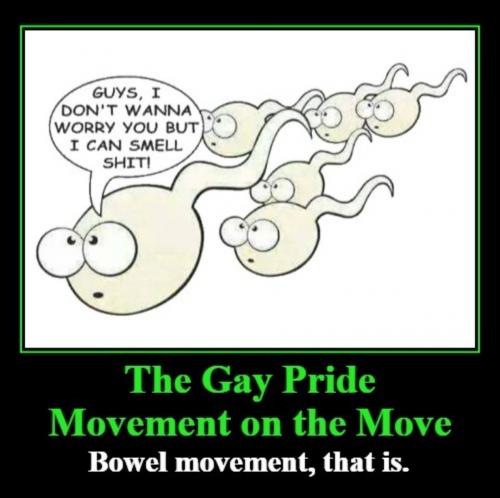 The Gay Pride Movement on the Move 960px