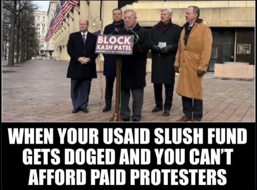 no paid protest