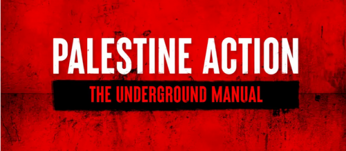 HAMAS SAUL ALINKY APPROACH