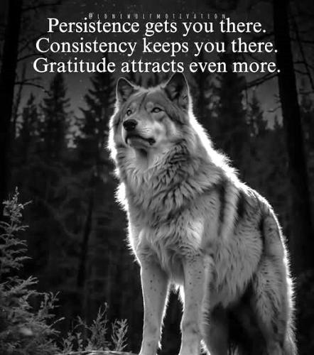 032425 - Persistence, Consistency, Gratitude