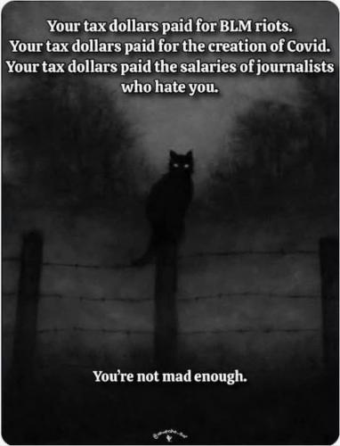 photo_2025-03-30_22-55-04