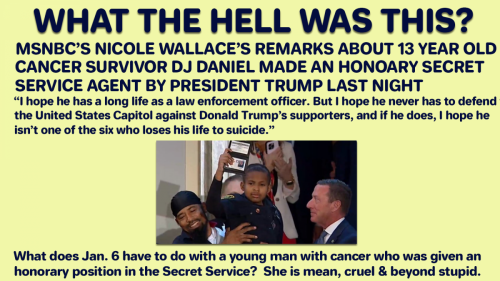 msnbc wallace stupid bitch