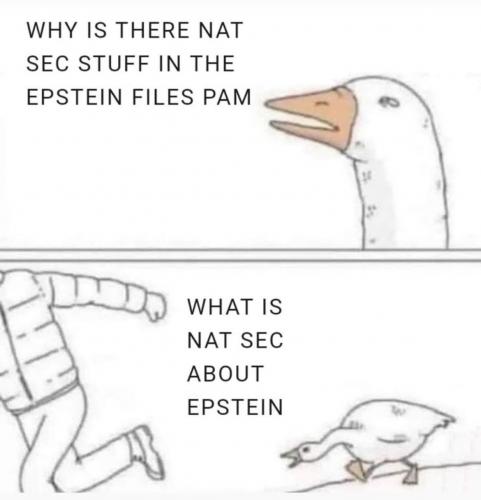 photo_2025-03-05_23-39-31